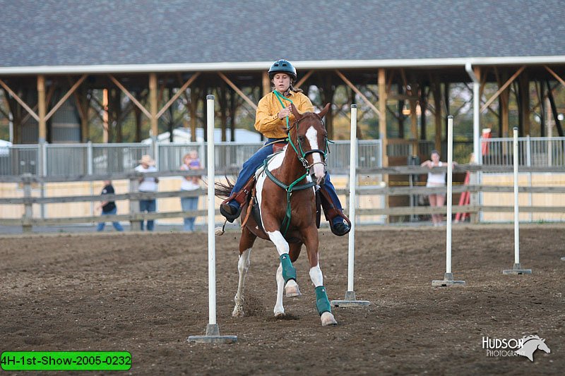 4H-1st-Show-2005-0232.jpg