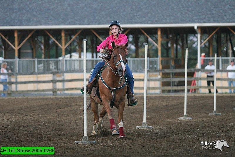 4H-1st-Show-2005-0265.jpg