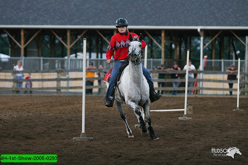 4H-1st-Show-2005-0293.jpg