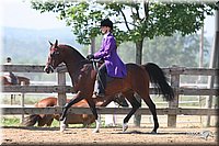 4H-1st-Show-2005-0569.jpg