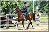 4H-1st-Show-2005-0848.jpg