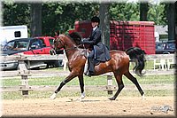 4H-1st-Show-2005-0857.jpg