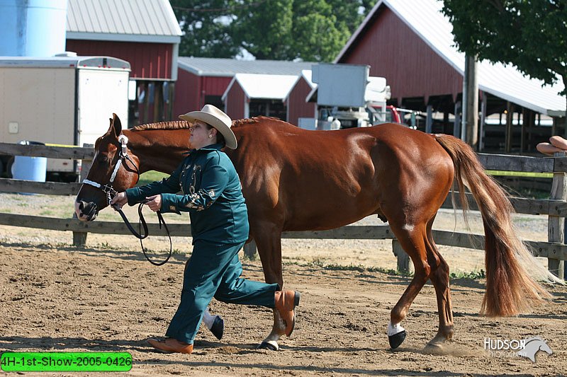 4H-1st-Show-2005-0426.jpg
