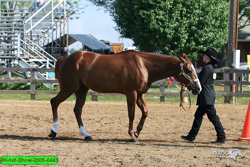 4H-1st-Show-2005-0443.jpg