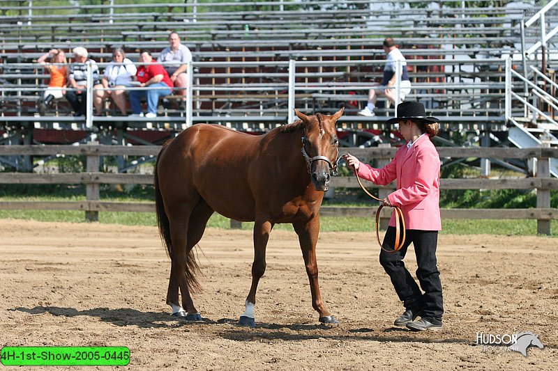 4H-1st-Show-2005-0445.jpg