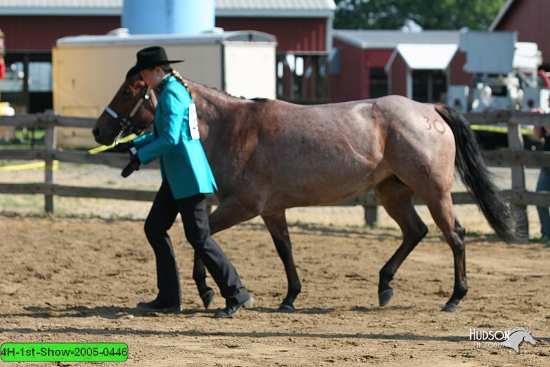 4H-1st-Show-2005-0446.jpg