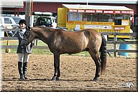 4H-1st-Show-2005-0368.jpg