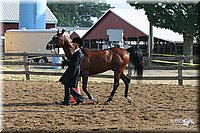 4H-1st-Show-2005-0371.jpg