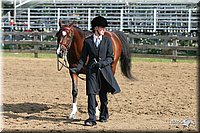 4H-1st-Show-2005-0375.jpg