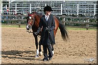 4H-1st-Show-2005-0376.jpg