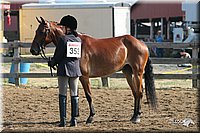 4H-1st-Show-2005-0379.jpg