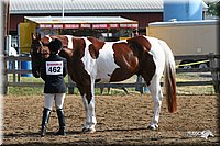 4H-1st-Show-2005-0392.jpg