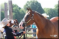 4H-1st-Show-2005-0467.jpg