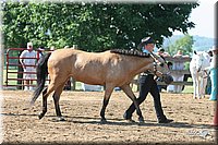 4H-1st-Show-2005-0477.jpg