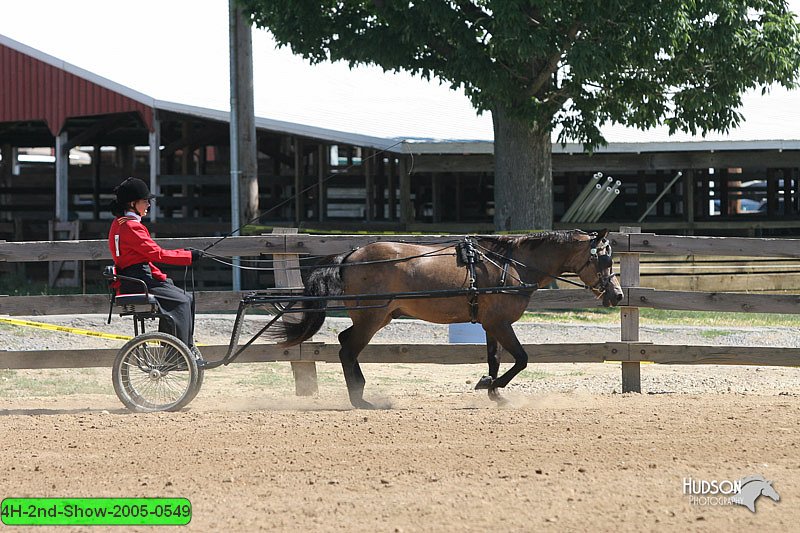 4H-2nd-Show-2005-0549.jpg