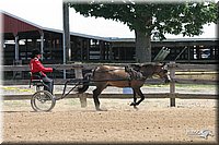 4H-2nd-Show-2005-0549.jpg