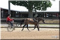 4H-2nd-Show-2005-0550.jpg