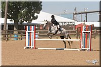 4H-2nd-Show-2005-1254.jpg