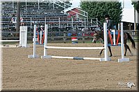 4H-2nd-Show-2005-1306.jpg