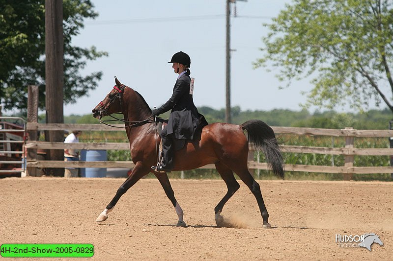 4H-2nd-Show-2005-0829.jpg