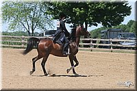 4H-2nd-Show-2005-0826.jpg