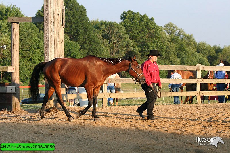 4H-2nd-Show-2005-0080.jpg