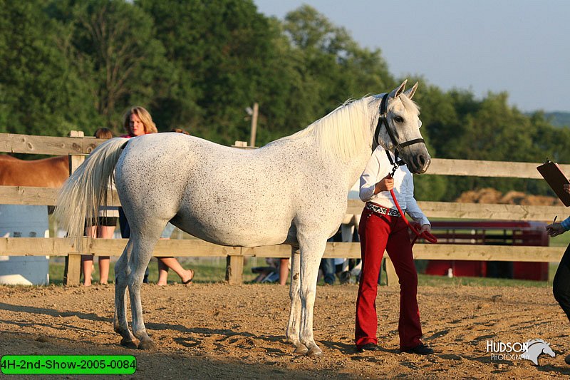 4H-2nd-Show-2005-0084.jpg