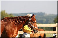 4H-2nd-Show-2005-0066.jpg