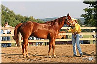 4H-2nd-Show-2005-0067.jpg