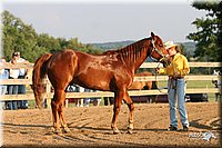 4H-2nd-Show-2005-0068.jpg