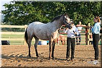 4H-2nd-Show-2005-0072.jpg