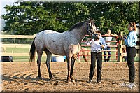 4H-2nd-Show-2005-0073.jpg