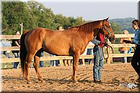 4H-2nd-Show-2005-0075.jpg