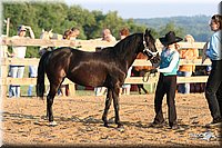 4H-2nd-Show-2005-0078.jpg