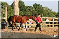 4H-2nd-Show-2005-0079.jpg