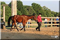 4H-2nd-Show-2005-0080.jpg