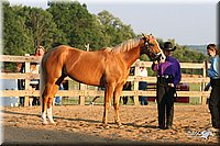 4H-2nd-Show-2005-0081.jpg