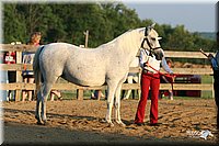 4H-2nd-Show-2005-0083.jpg