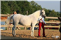 4H-2nd-Show-2005-0084.jpg