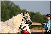 4H-2nd-Show-2005-0085.jpg