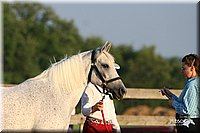 4H-2nd-Show-2005-0085.jpg