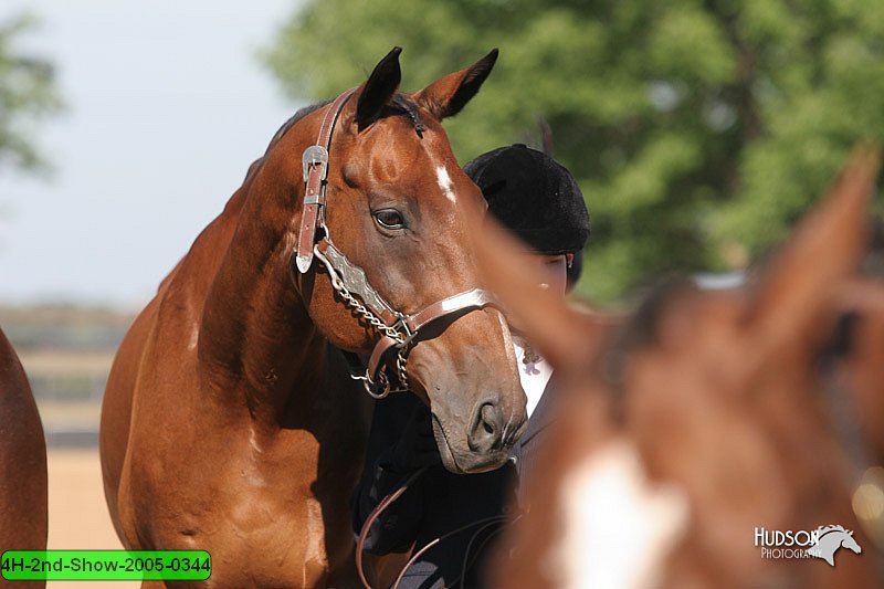 4H-2nd-Show-2005-0344.jpg