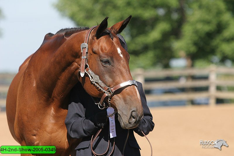 4H-2nd-Show-2005-0345.jpg