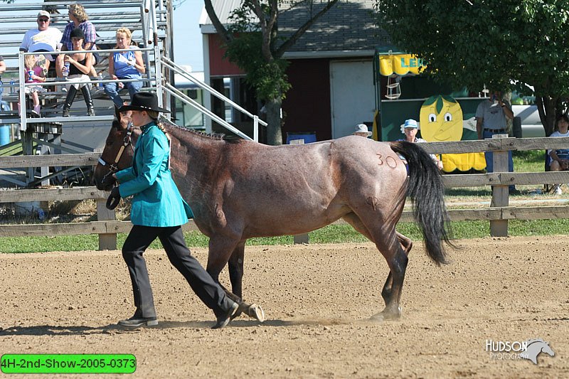 4H-2nd-Show-2005-0373.jpg