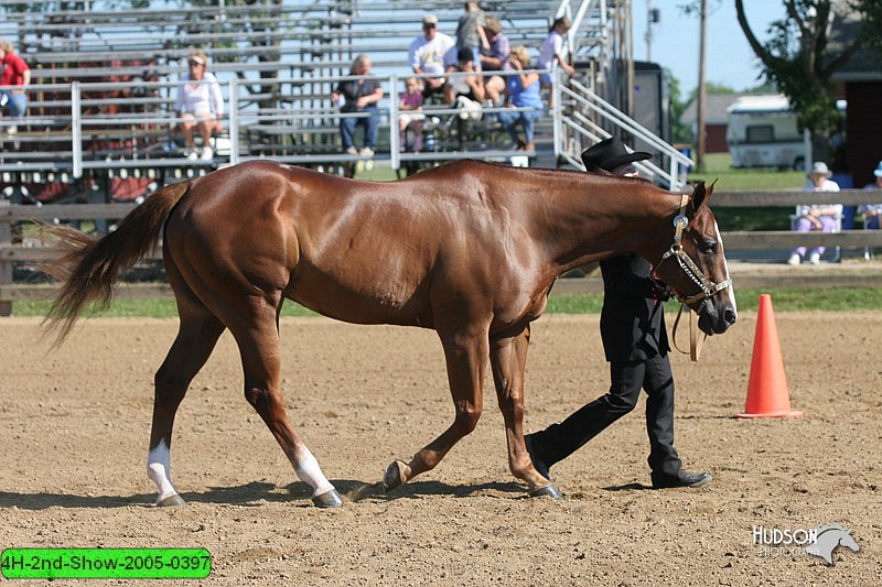 4H-2nd-Show-2005-0397.jpg