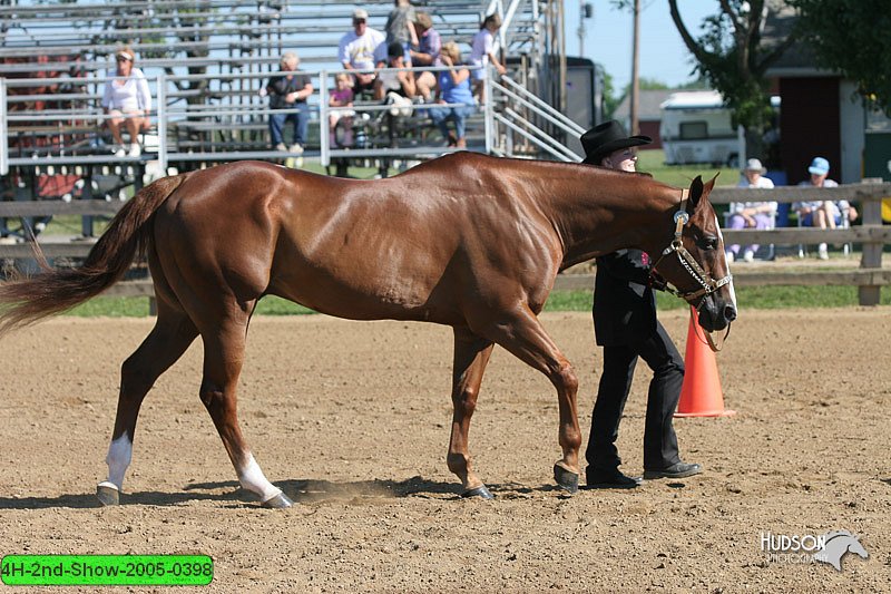 4H-2nd-Show-2005-0398.jpg