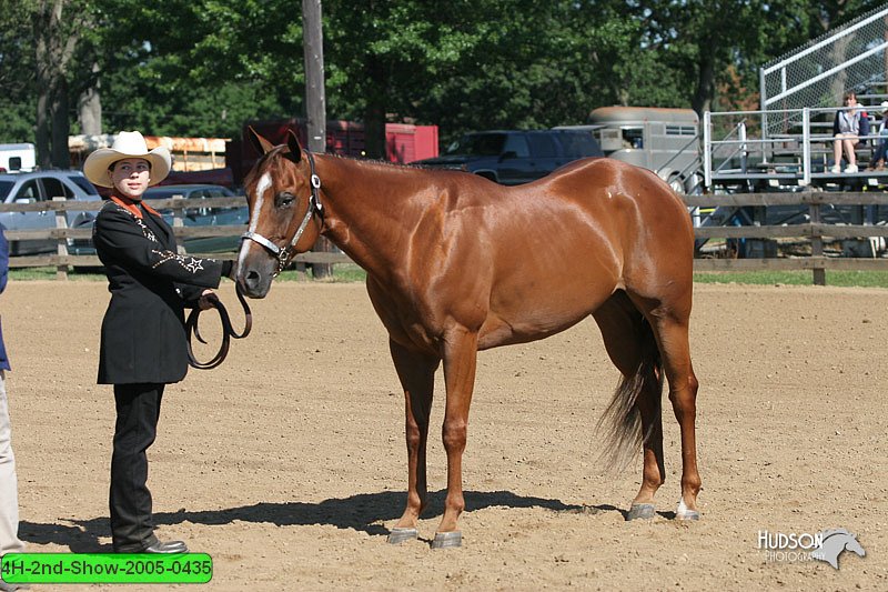 4H-2nd-Show-2005-0435.jpg