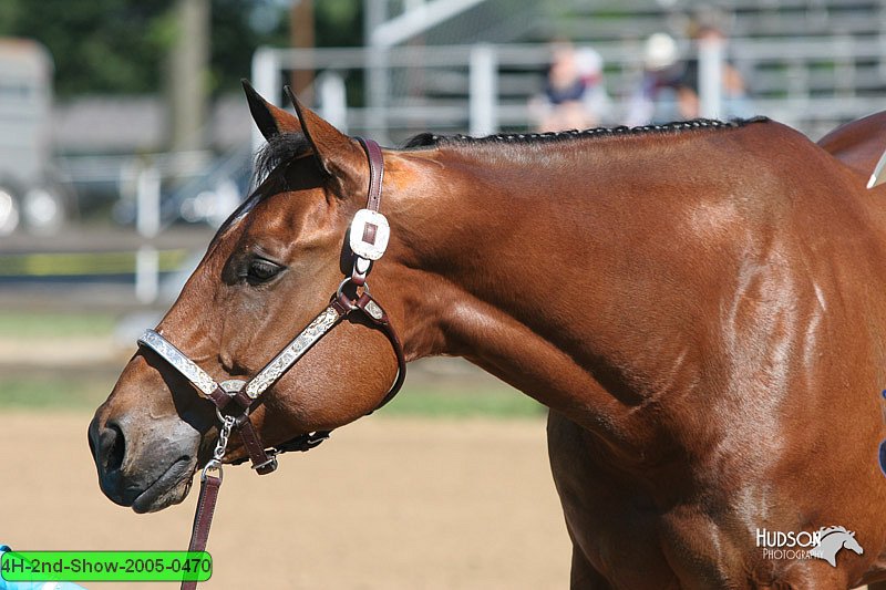 4H-2nd-Show-2005-0470.jpg