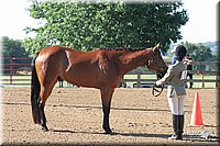 4H-2nd-Show-2005-0289.jpg