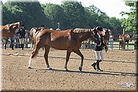 4H-2nd-Show-2005-0317.jpg